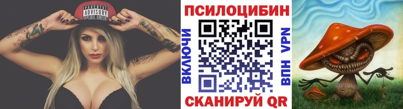 Галлюциногенные грибы Psilocybe  Сердобск 